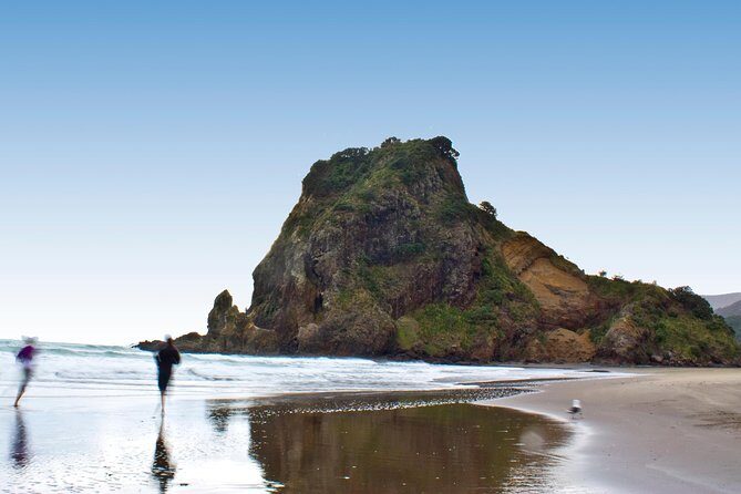 Coast and Rainforest Eco-Tour from Auckland with Picnic Lunch - FAQs