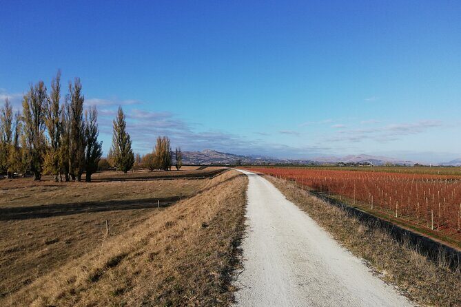 Coast to Vineyards Self-Guided Scenic Cycle Tour from Napier - A Ride Along Hawke’s Bay’s Stunning Coastline  