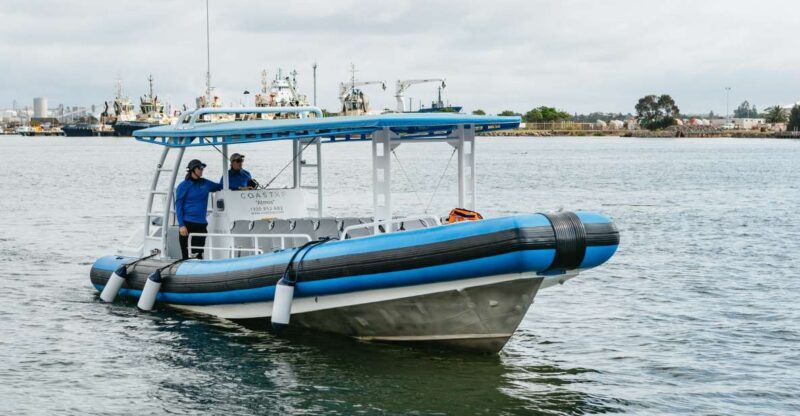 Coastal 2.5-hour Adventure Boat Tour from Newcastle - Key Points