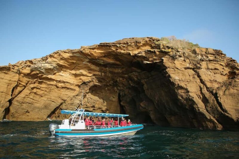 Coastal 2.5-hour Adventure Boat Tour from Newcastle - What Makes This Tour Stand Out