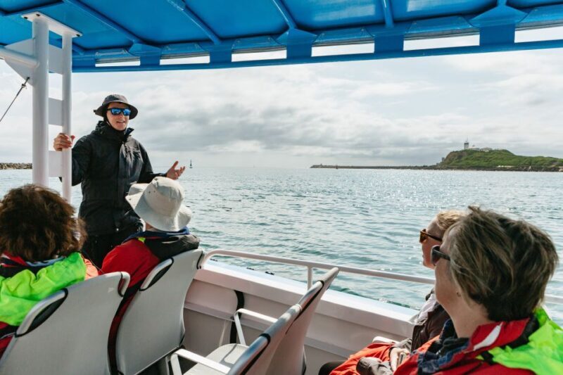 Coastal 2.5-hour Adventure Boat Tour from Newcastle - Comfort, Safety, and Practical Tips
