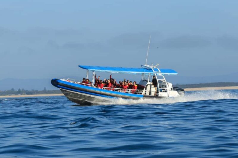 Coastal 2.5-hour Adventure Boat Tour from Newcastle - Final Thoughts