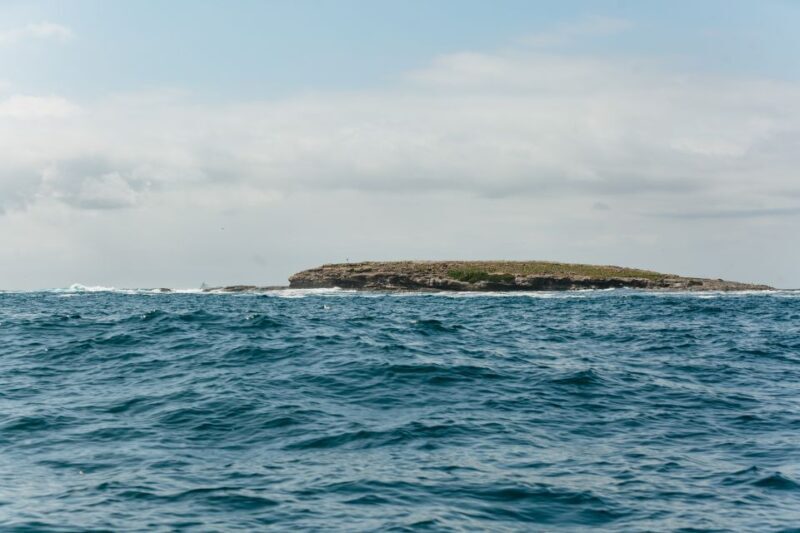 Coastal 2.5-hour Adventure Boat Tour from Newcastle - Frequently Asked Questions