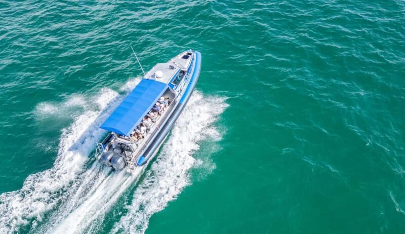 Coastal Boat Tour from Lake Macquarie - Introducing the Coastal Boat Tour from Lake Macquarie
