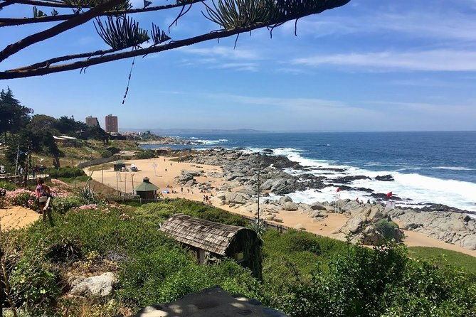 coastal-charms-and-vineyard-bliss-with-isla-negra-undurraga