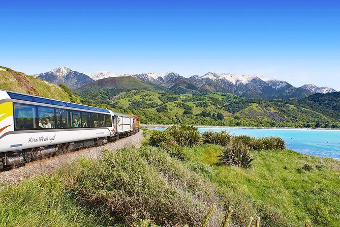 Coastal Pacific Train Journey from Picton to Christchurch - The Journey Itself—What You Can Expect