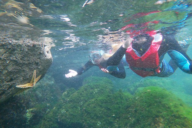 Coasteering adventure with snorkeling: kids version - The Experience from the Guides’ Perspective