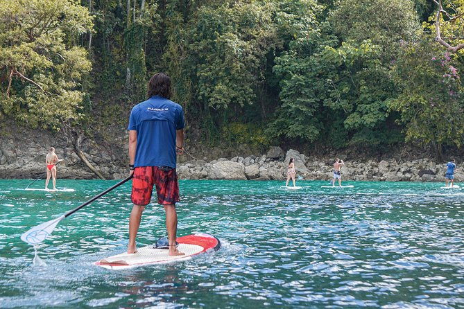 coastline-paddle-board-tour