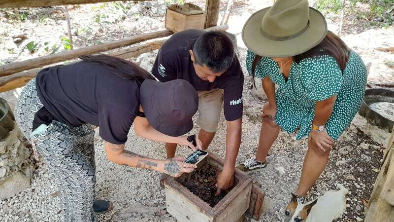 Coba: ancient mayan temples, mayan wildlife, tacos, cenote! - What You Can Expect from the Tour