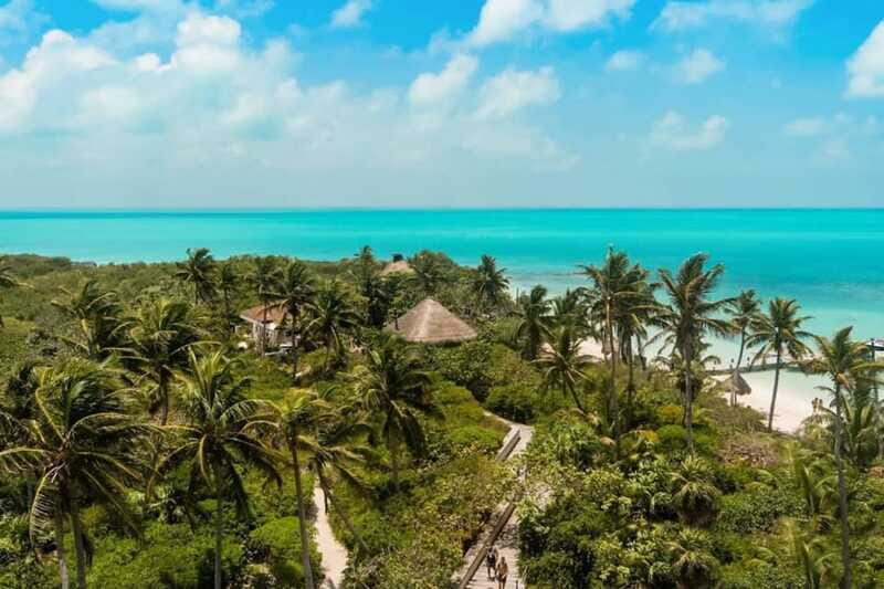 Coba and Turtles Adventure - Snorkeling with Sea Turtles in Akumal
