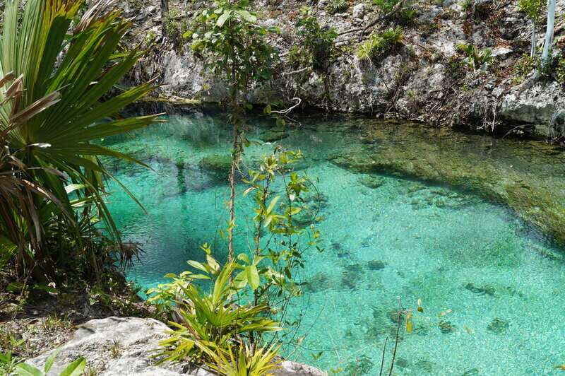 Coba, Tulum, Cenote and Mayan Village Tour with Transport - Who Will Enjoy This Tour?