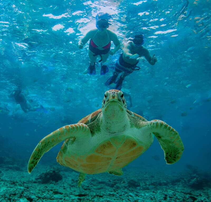 Coba & Turtle Adventure - Understanding the Itinerary: From Ruins to Reef