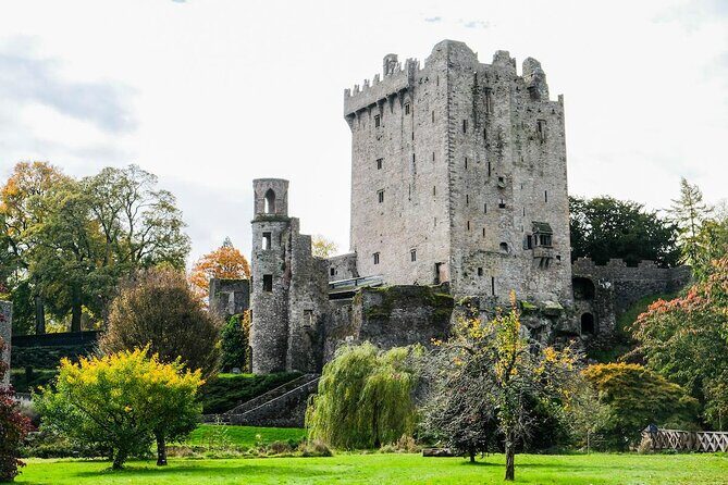 Cobh cruise excursion, Blarney, Cork & Kinsale. Car or Minibus. - Key Points