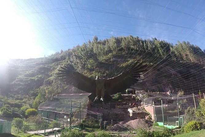 cochahuasi-sanctuary-of-rescued-animals-cusco