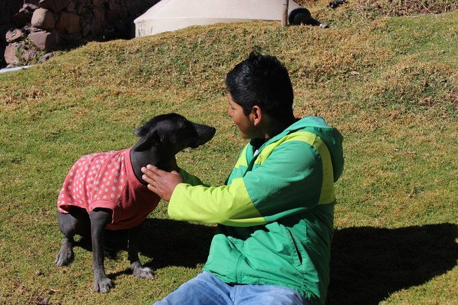 cochahuasi-sanctuary-of-rescued-animals-cusco