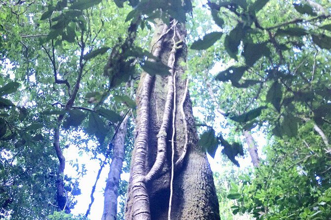 cochamo-hike-day-trip