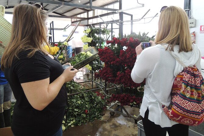 cochasqui-pyramids-rose-plantation-and-equator-line-day-tour