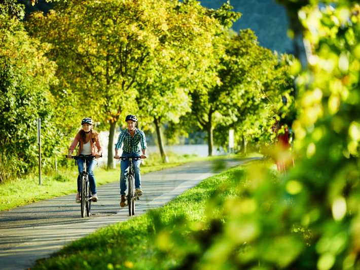 cochem-mosel-bicycle-picnic-boat-tour-with-wine-tasting