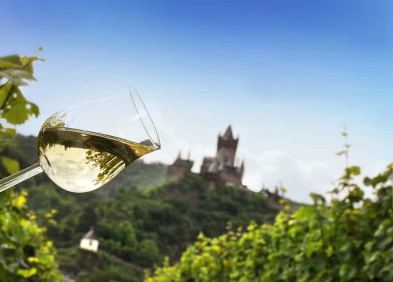 Cochem, Mosel: Mit dem Kanu zum Winzer - Authentic Experiences from Real Travelers