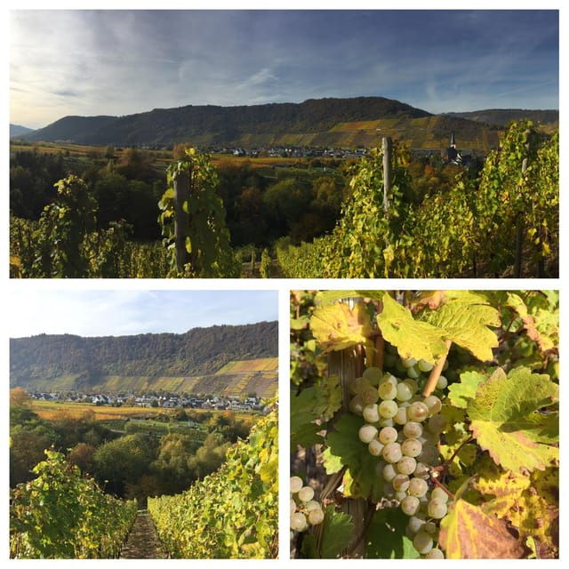 cochem-moselle-wine-experience-hike-with-boat