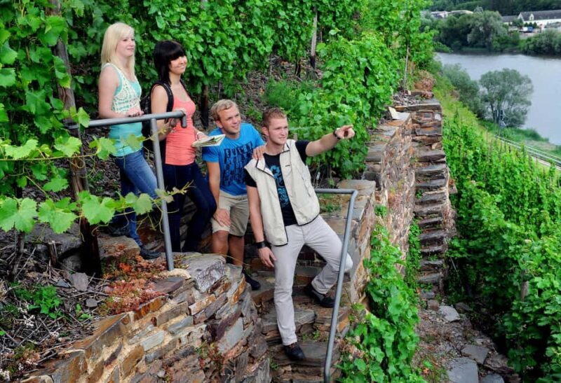 Cochem, Moselle: Wine experience hike with boat trip - Key Points