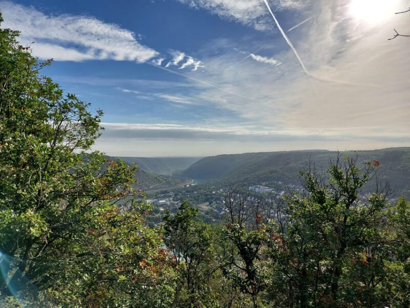 Cochem, Moselle: Wine experience hike with boat trip - Who Will Love This Tour?