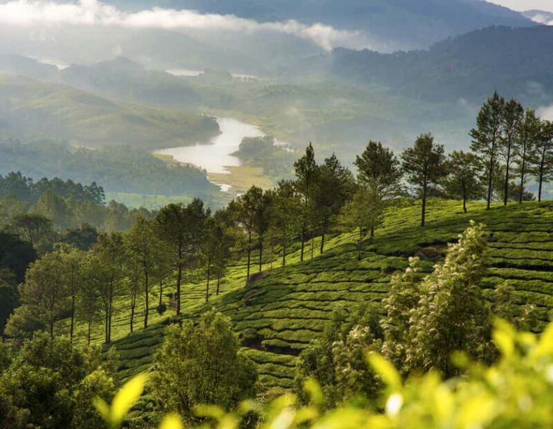 Cochin: 5-Day Kerala Tour with Munnar, Thekkady and Alleppey - Is This Tour Right for You?