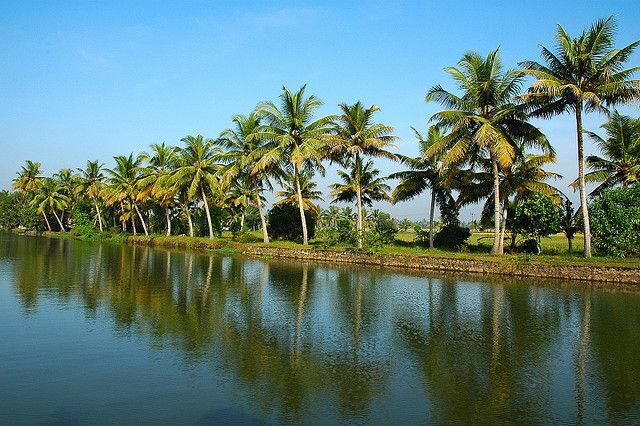 Cochin : Alleppey/Alappuzha Backwater Canoe (Shikara) Cruise - An Overview of the Backwater Experience in Alleppey