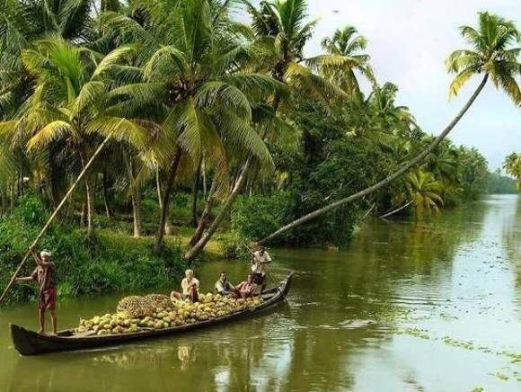Cochin : Alleppey/Alappuzha Backwater Canoe (Shikara) Cruise - Practical Tips for Your Trip