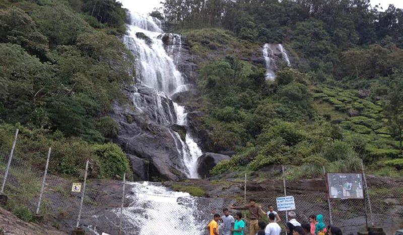 Cochin: Alleppey Backwater Private Day Tour with Houseboat - Key Points