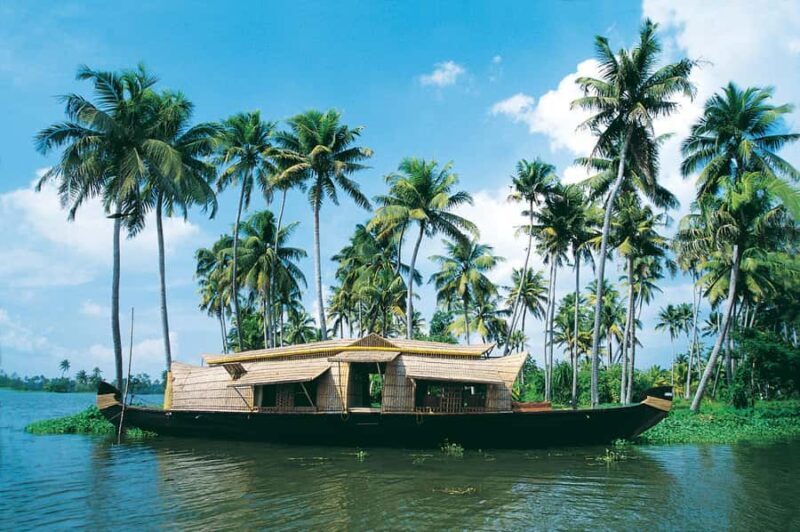 Cochin: Alleppey Backwater Private Day Tour with Houseboat - Exploring the Experience in Detail