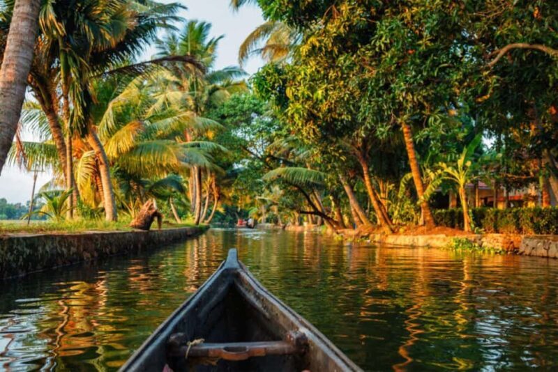 Cochin Backwaters Tour: Eco Boat Ride & Traditional Lunch - Key Points  