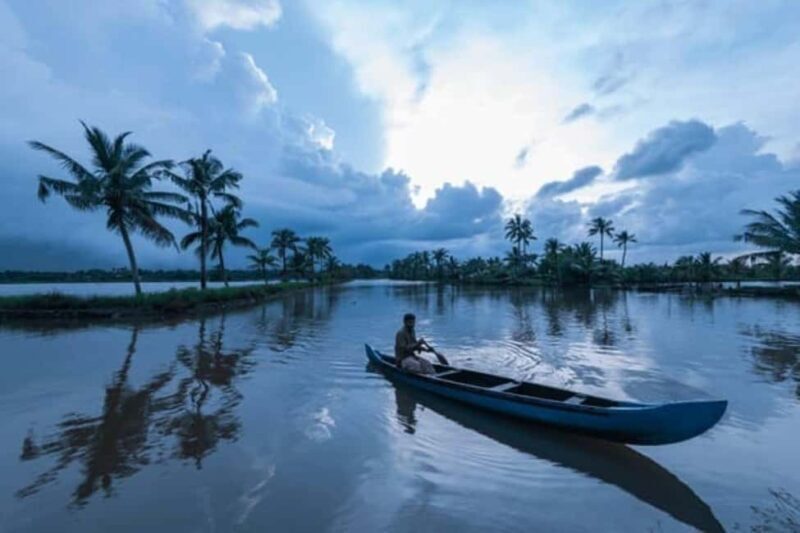 Cochin Backwaters Tour: Eco Boat Ride & Traditional Lunch - Discovering Kerala’s Backwaters  