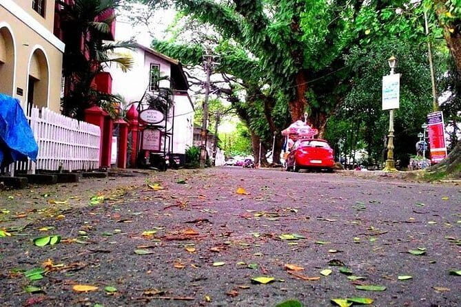 Cochin Group Shore Excursions from Cruise Terminal Pier - FAQ