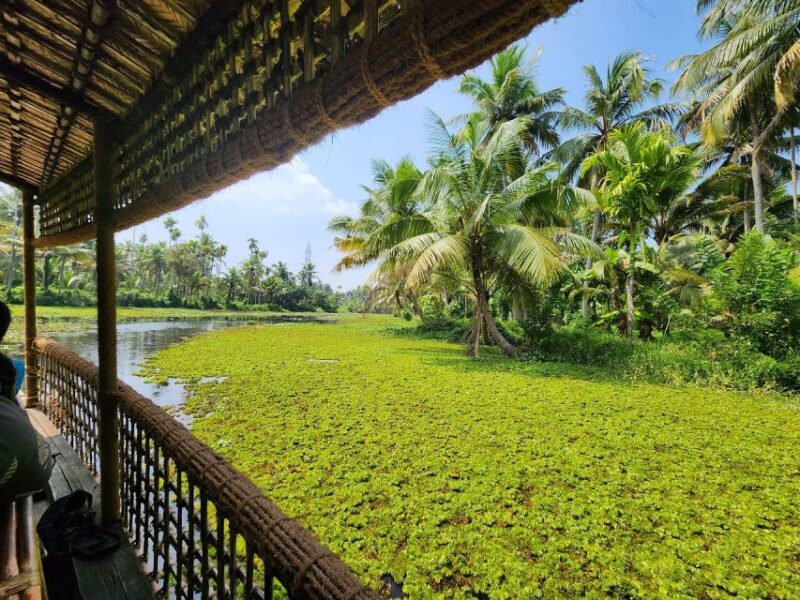 Cochin: Half-Day Backwater Village Eco Boat Cruise W/ Lunch - Key Points