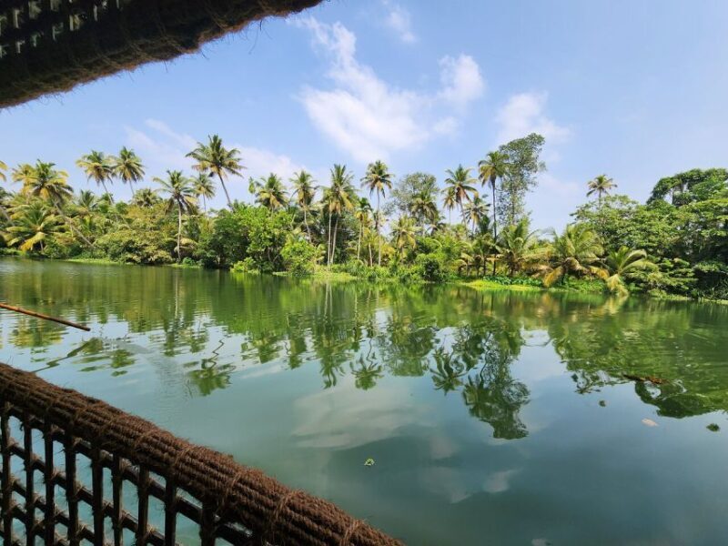 Cochin: Half-Day Backwater Village Eco Boat Cruise W/ Lunch - Final Thoughts