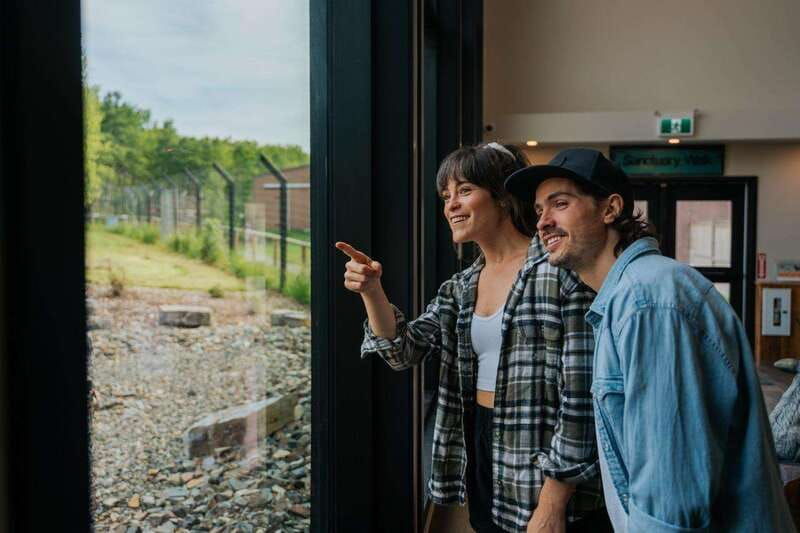 cochrane-yamnuska-wolfdog-sanctuary-tour