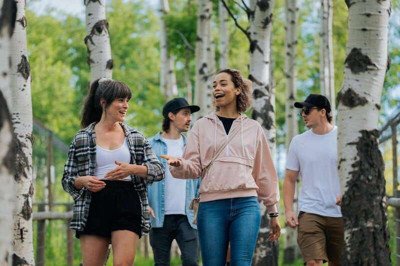 cochrane-yamnuska-wolfdog-sanctuary-tour