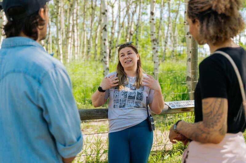 cochrane-yamnuska-wolfdog-sanctuary-tour