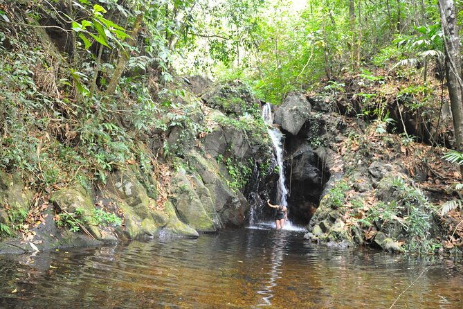cockscomb-basin-waterfalls-and-jungle-hike-tour