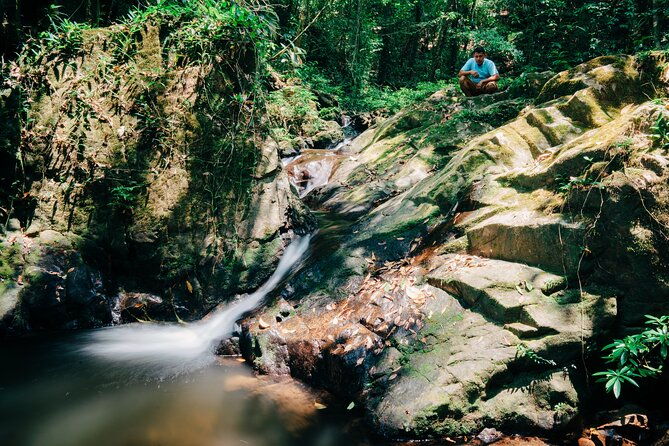 cockscomb-basin-waterfalls-and-jungle-hike-tour
