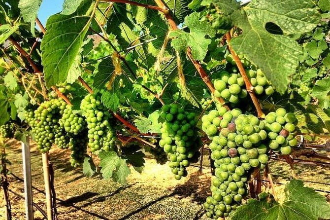 Cocktail Academy in Bangkok - The Sum Up