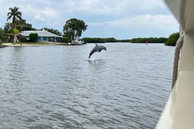cocoa-beach-dolphin-tours-on-the-banana-river