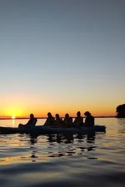 Cocoa Beach/Merritt Island: Guided Dolphin and Manatee Tour - An In-Depth Look at the Experience