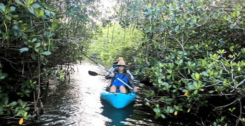 Cocoa Beach/Merritt Island: Guided Dolphin and Manatee Tour - Who is This Tour Best For?