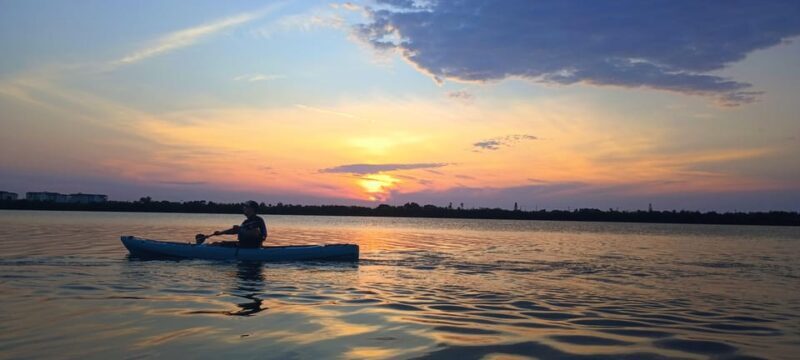 Cocoa Beach/Merritt Island: Guided Dolphin and Manatee Tour - Final Thoughts