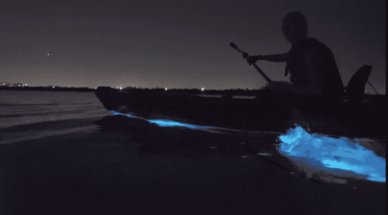 cocoa-beach-merritt-islandbioluminescent-kayak-tour
