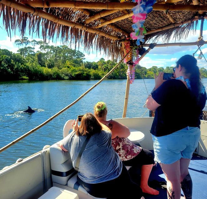 cocoa-beach-private-2-hour-dolphin-sightseeing-tour