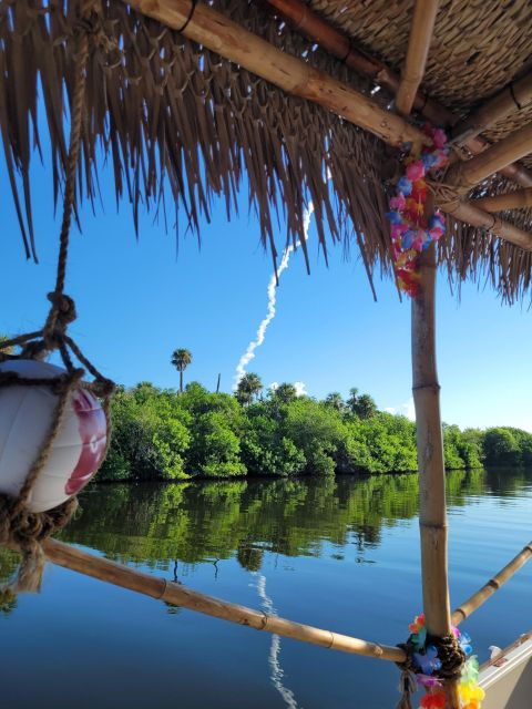 cocoa-beach-private-2-hour-dolphin-sightseeing-tour