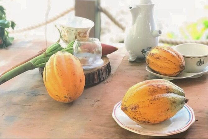 cocoa-plantation-discovery-and-workshop